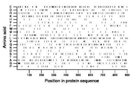 amino acid map