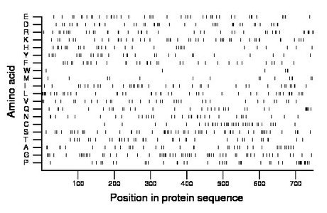 amino acid map