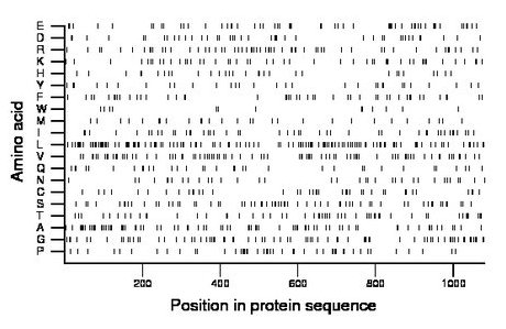 amino acid map