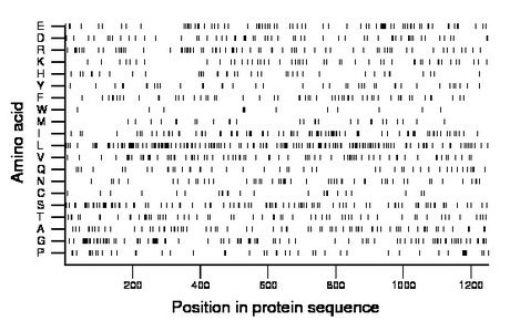 amino acid map