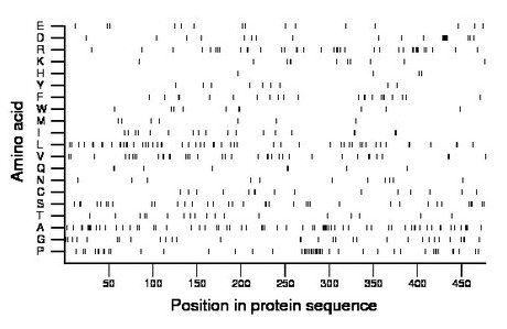 amino acid map