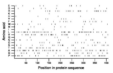 amino acid map