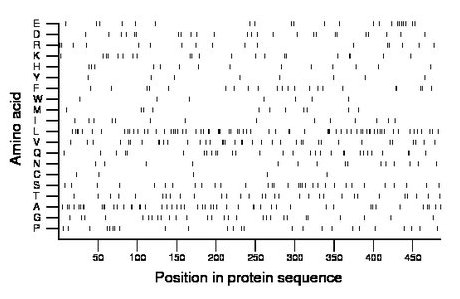 amino acid map