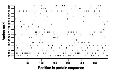 amino acid map