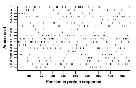 amino acid map