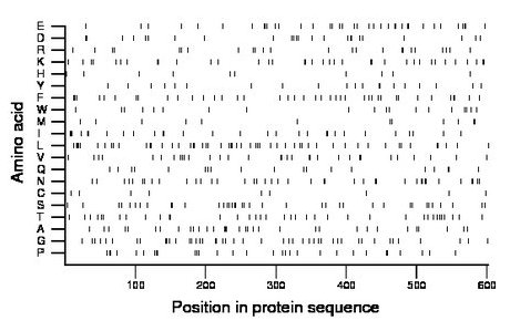 amino acid map