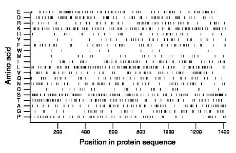 amino acid map