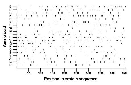 amino acid map