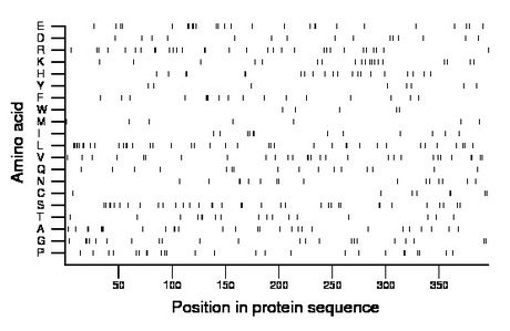 amino acid map