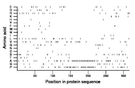 amino acid map