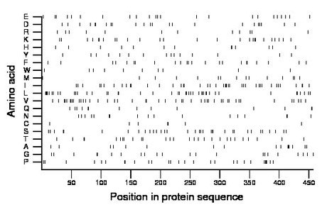 amino acid map