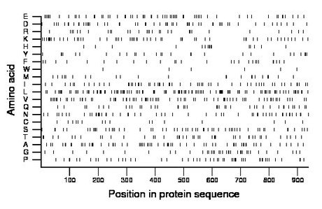 amino acid map