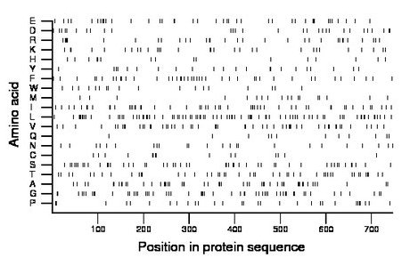 amino acid map