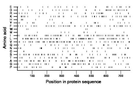 amino acid map