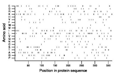 amino acid map