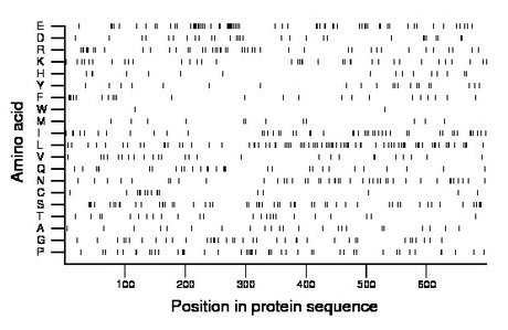 amino acid map