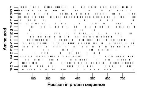 amino acid map