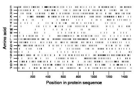 amino acid map