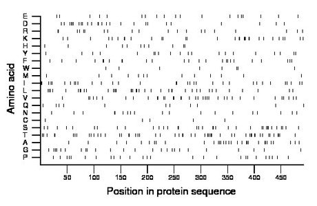 amino acid map