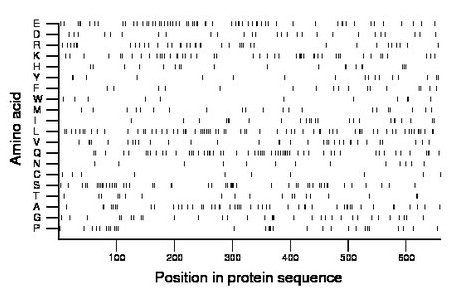 amino acid map