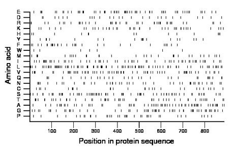 amino acid map