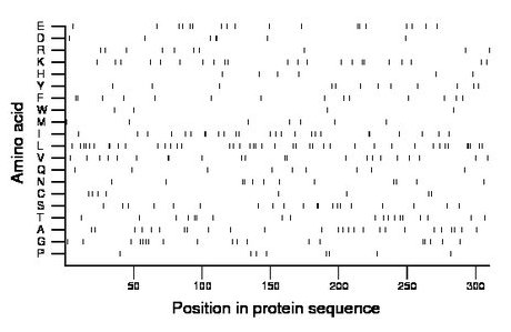 amino acid map