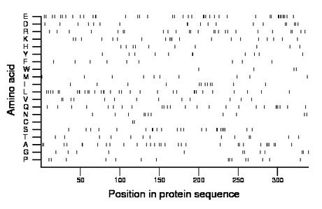 amino acid map