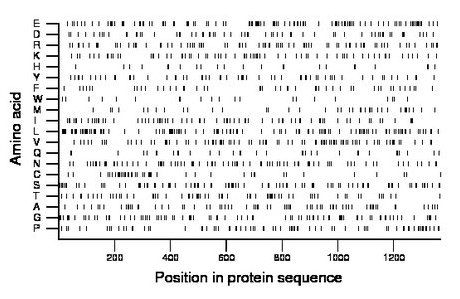 amino acid map