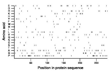 amino acid map