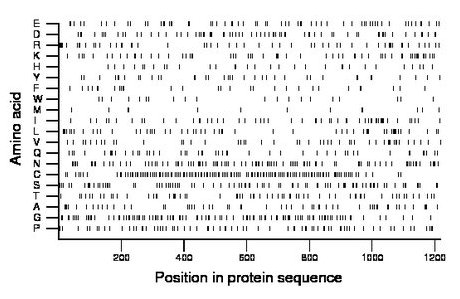 amino acid map