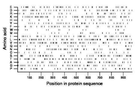 amino acid map