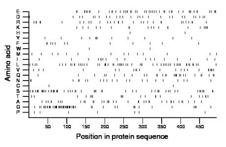 amino acid map