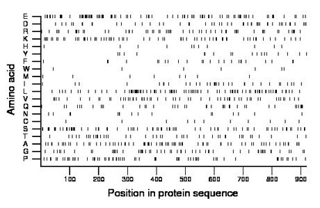 amino acid map