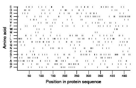 amino acid map