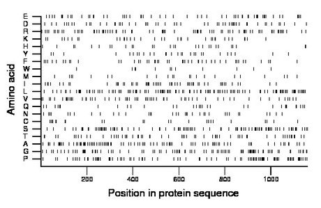 amino acid map