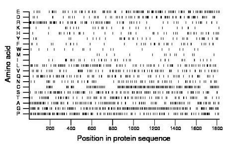 amino acid map