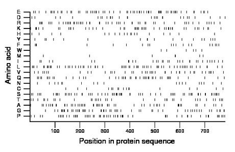 amino acid map