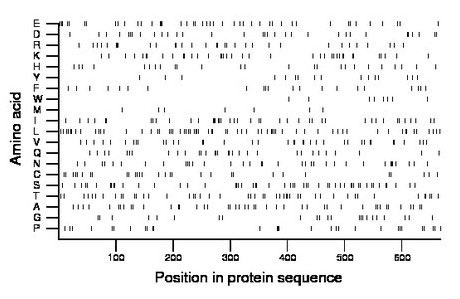 amino acid map