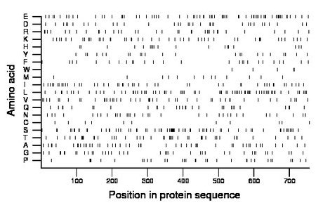 amino acid map