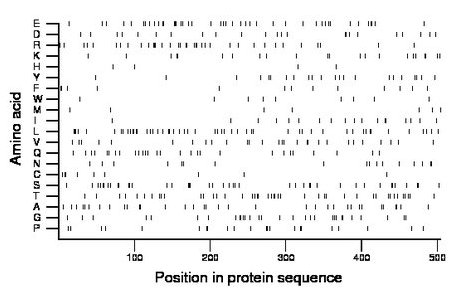 amino acid map