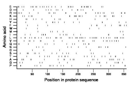 amino acid map