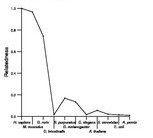 comparative genomics plot