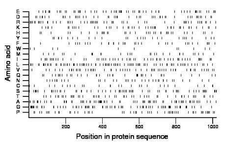 amino acid map