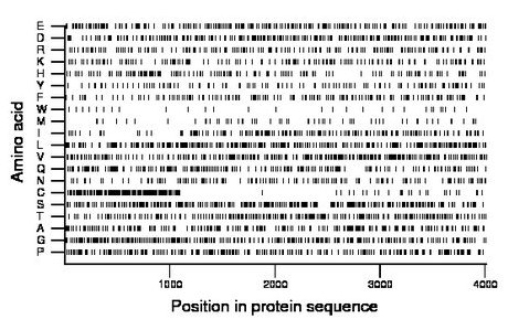 amino acid map