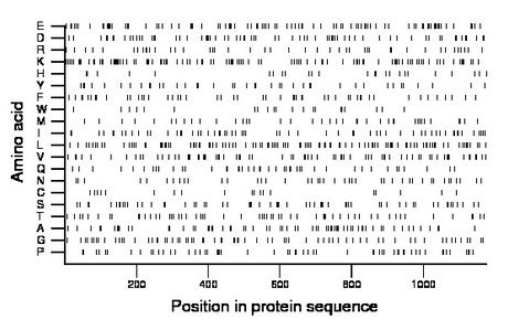 amino acid map