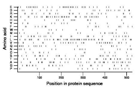 amino acid map