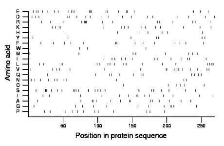 amino acid map