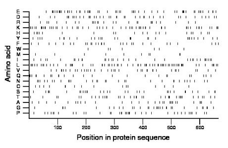 amino acid map