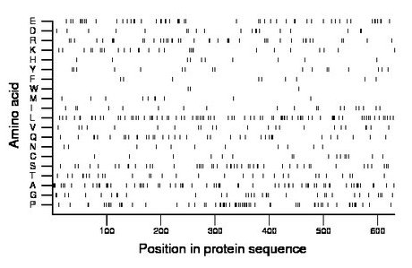 amino acid map