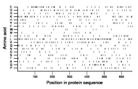 amino acid map